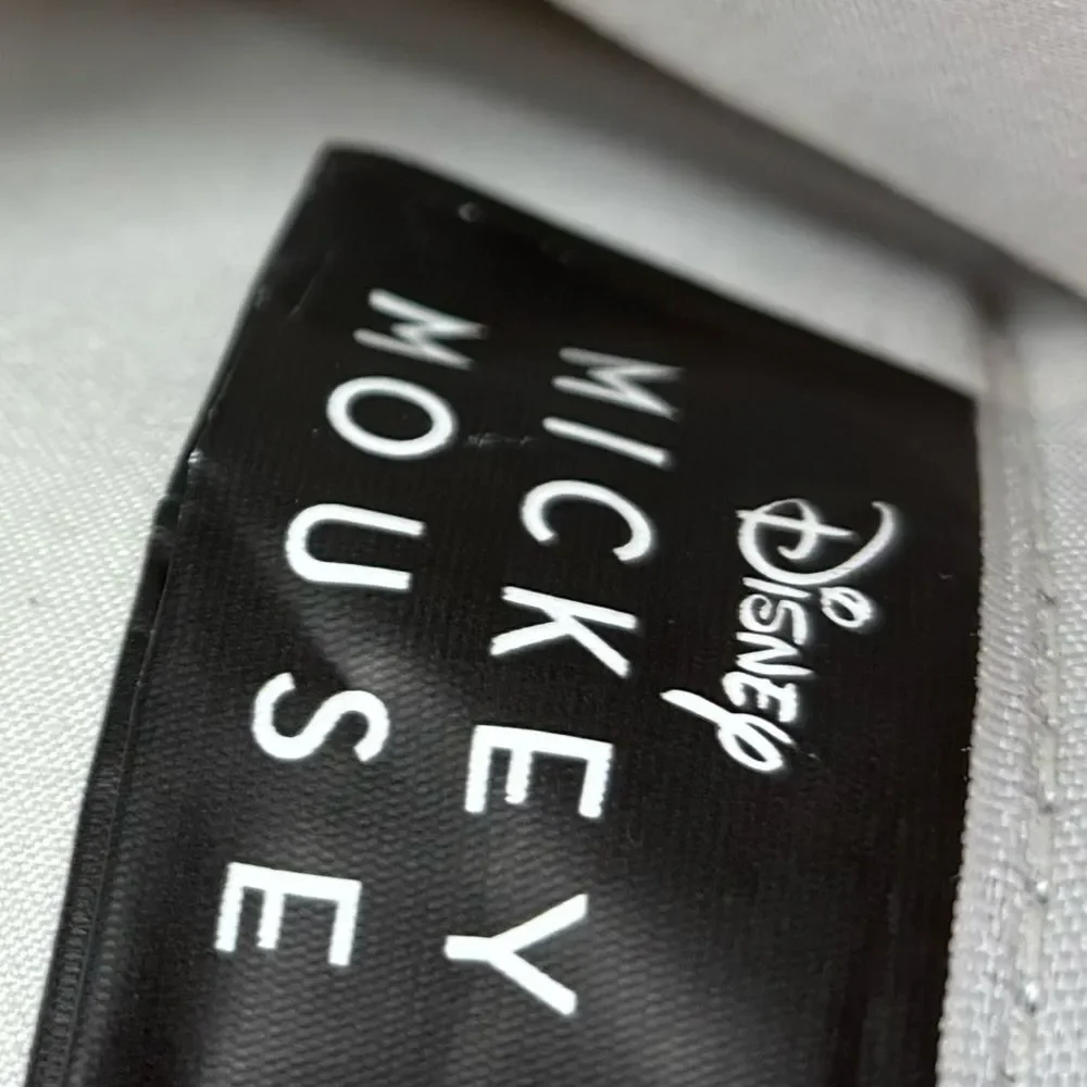 Disney mickey mouse
